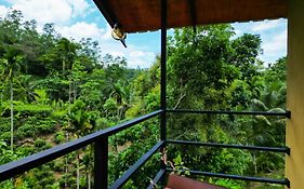 Sunshine Forest Lodge - Sinharaja