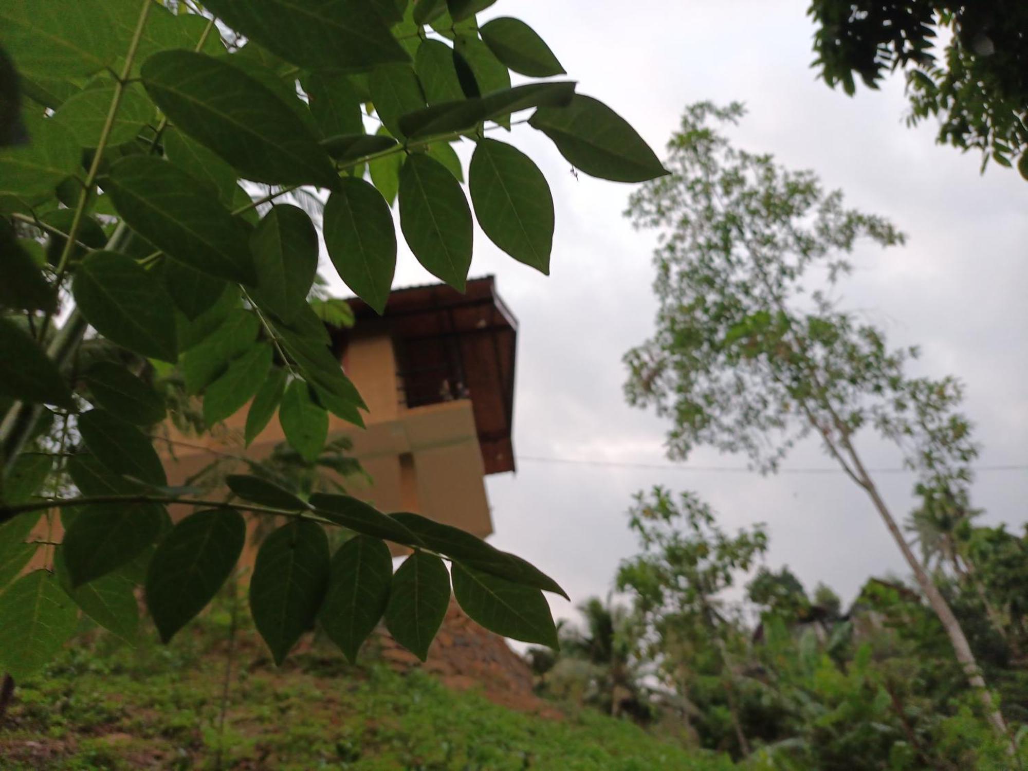 Sunshine Forest Lodge - Sinharaja Deniyaya Exterior photo