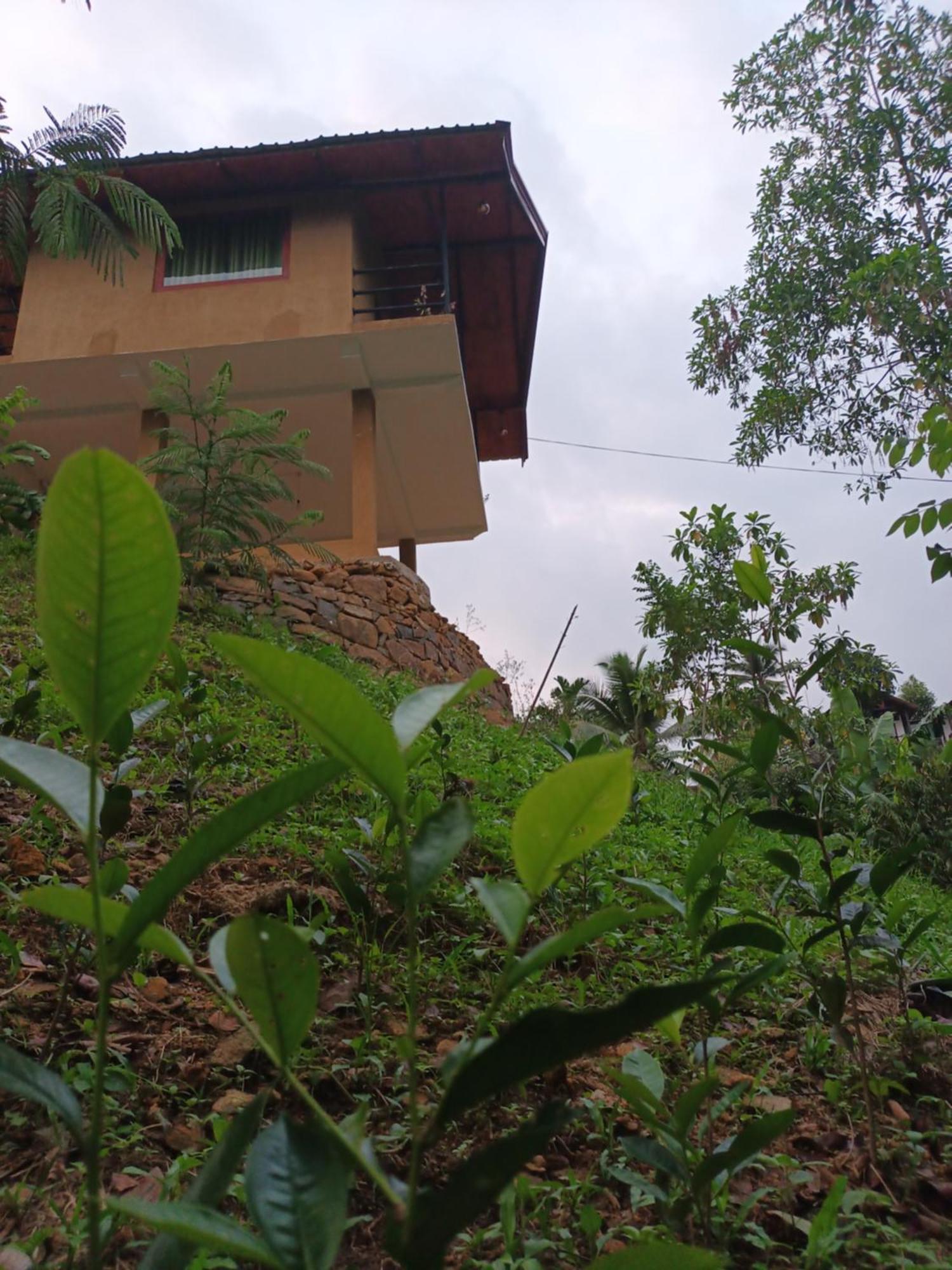 Sunshine Forest Lodge - Sinharaja Deniyaya Exterior photo
