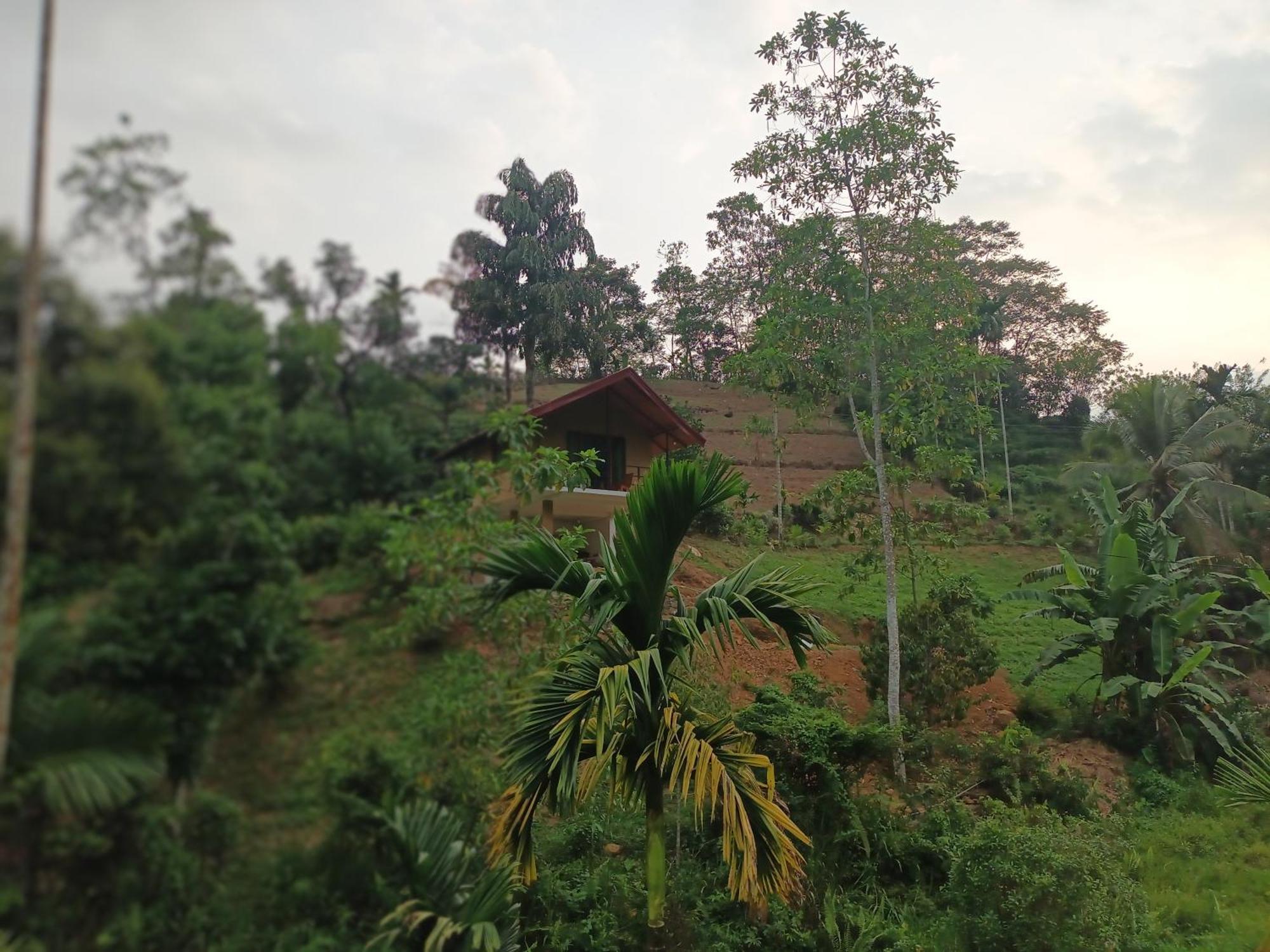 Sunshine Forest Lodge - Sinharaja Deniyaya Exterior photo