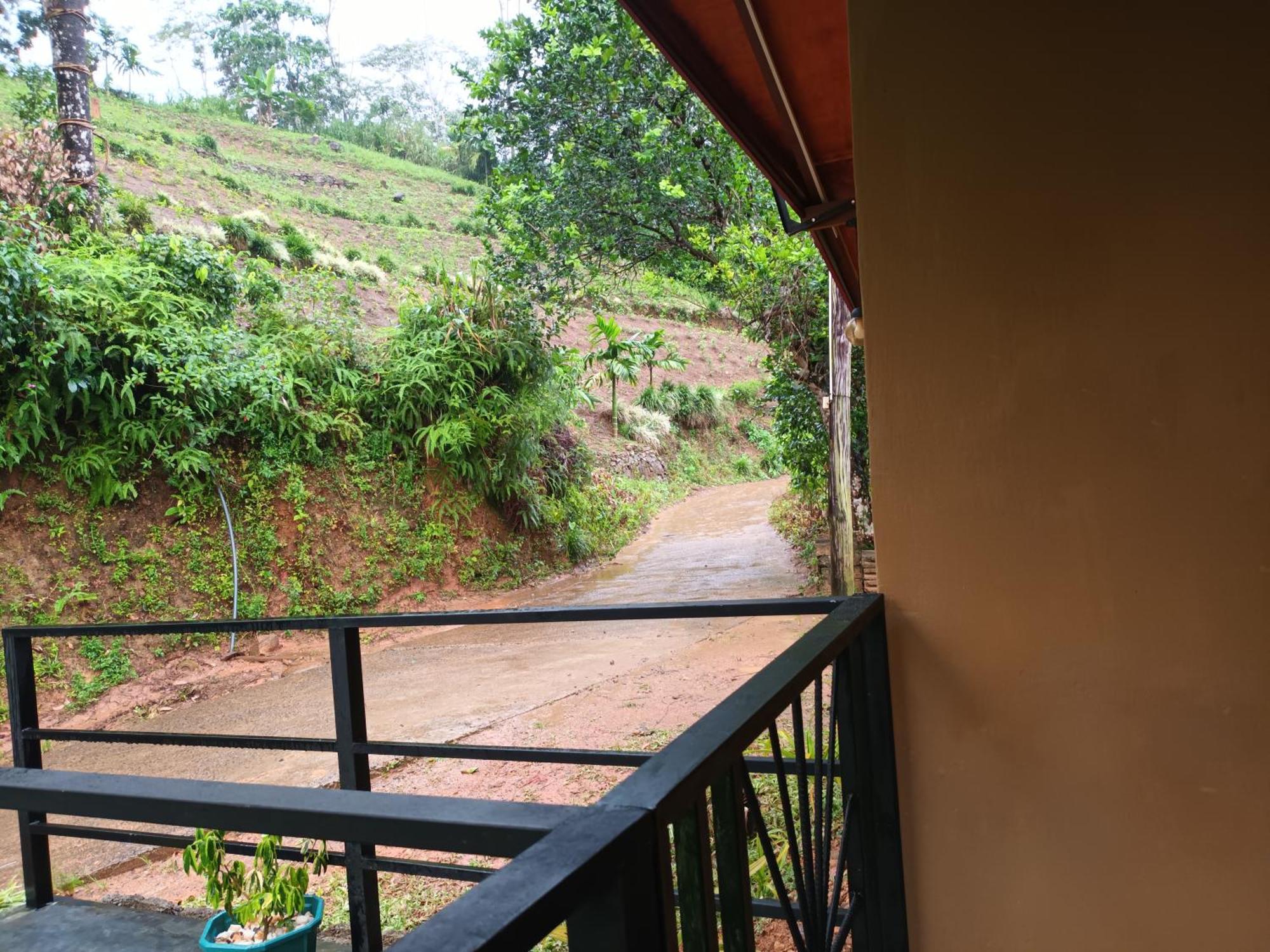 Sunshine Forest Lodge - Sinharaja Deniyaya Exterior photo