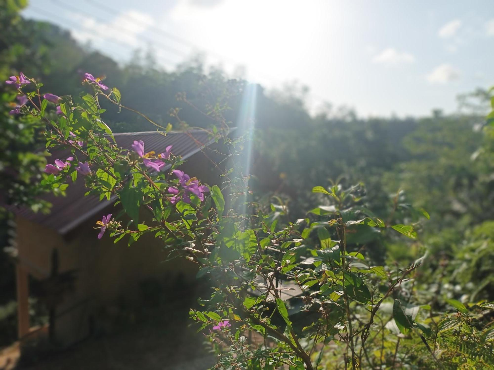 Sunshine Forest Lodge - Sinharaja Deniyaya Exterior photo