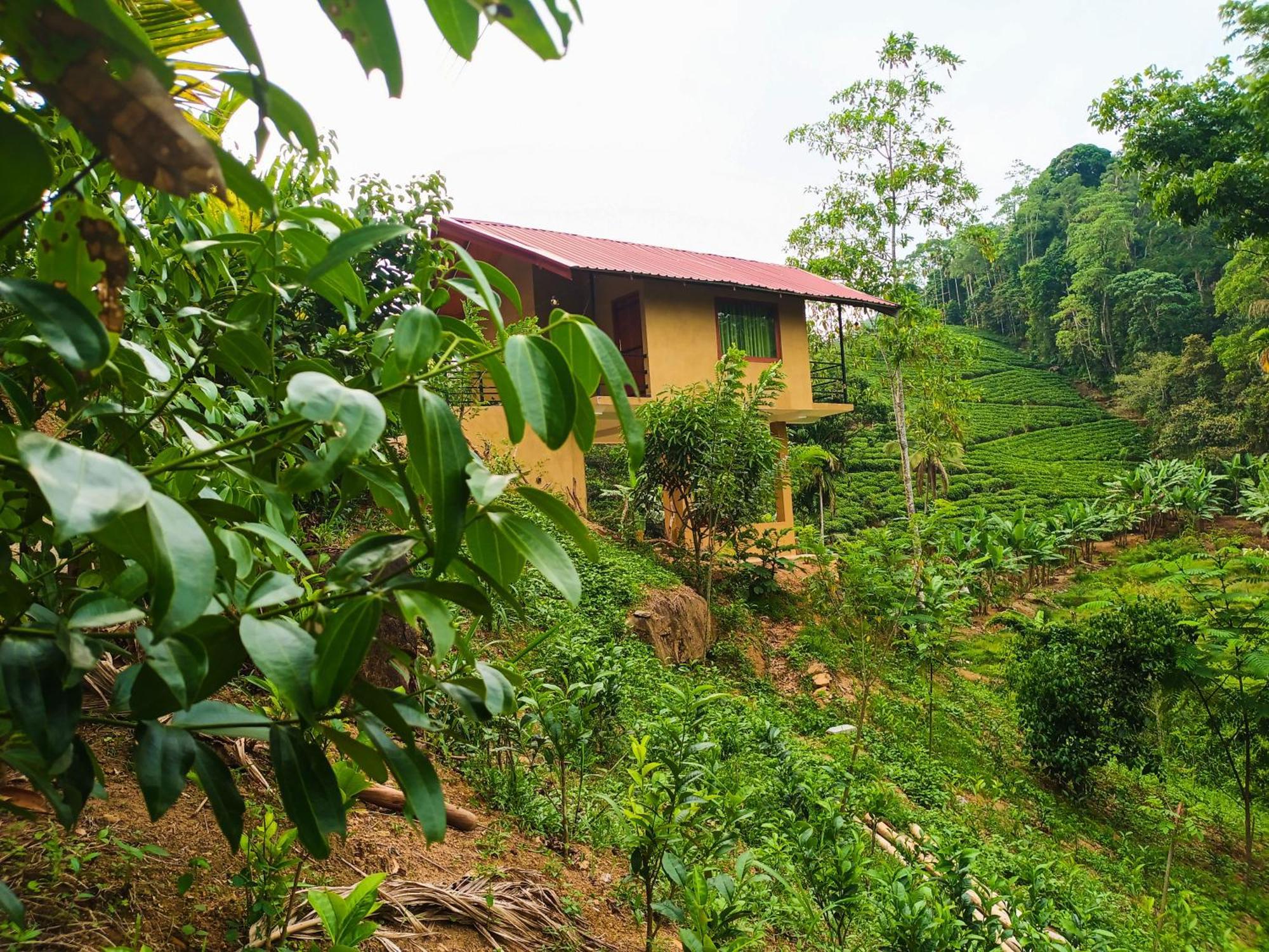 Sunshine Forest Lodge - Sinharaja Deniyaya Exterior photo