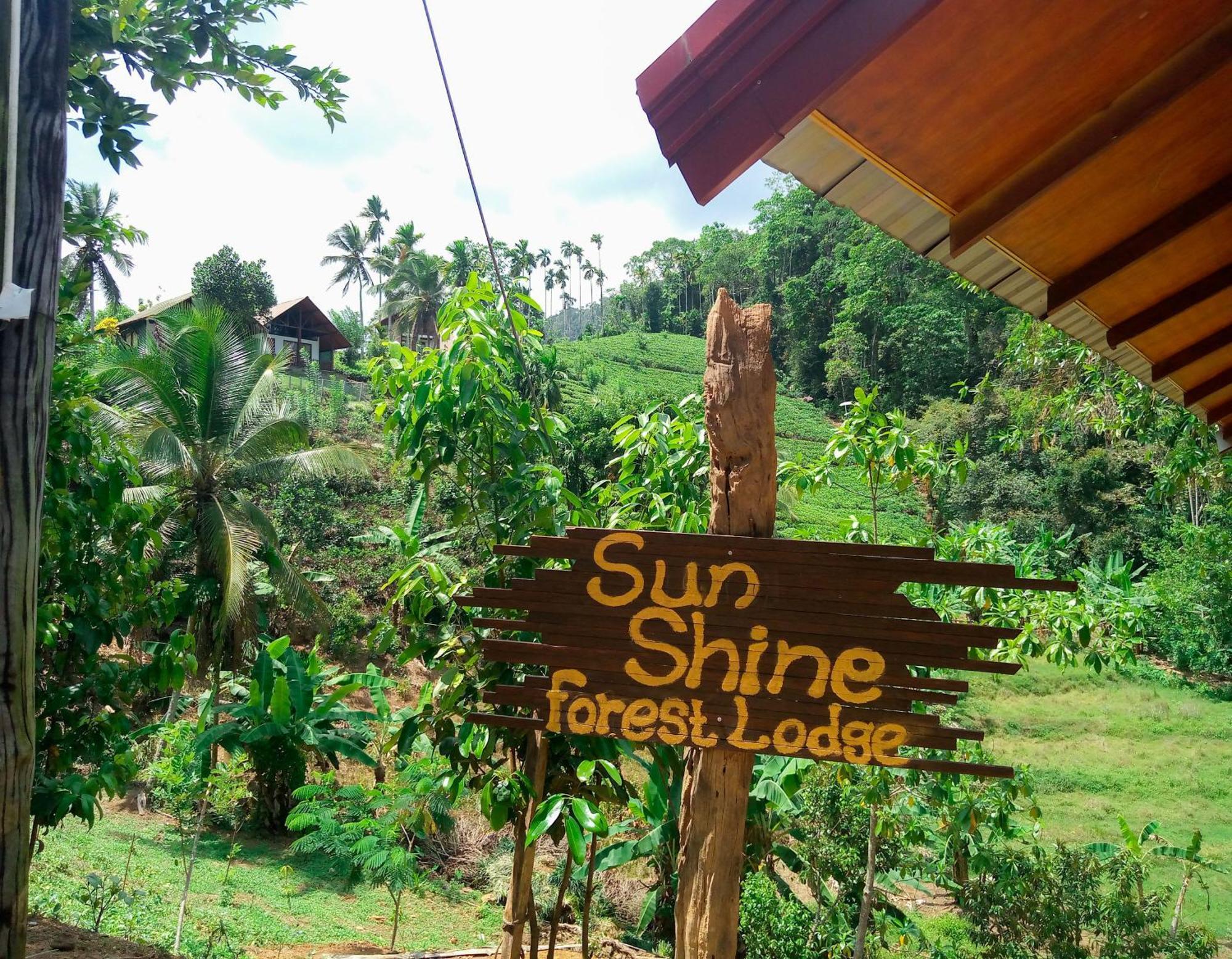 Sunshine Forest Lodge - Sinharaja Deniyaya Exterior photo